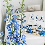 Bright - Loftaffair Apartamento